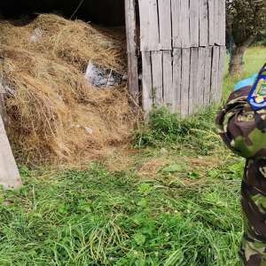 6.300 pachete cu țigări descoperite într-un șopron cu fân