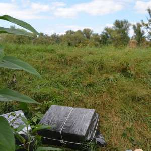 Țigări de contrabandă în valoare de peste 38.000 lei, confiscate la frontiera de nord a României