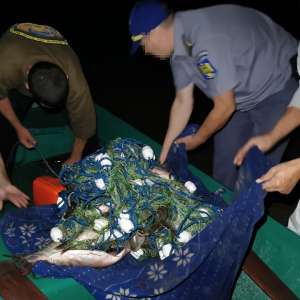 Zeci de kg de peşte, confiscate de polițiștii de frontieră tulceni