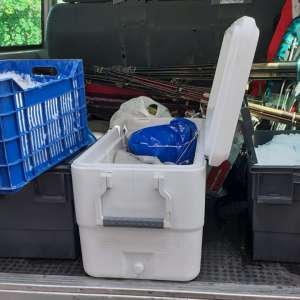 Peste 100 kilograme de  peşte transportate ilegal,   descoperite de poliţiştii de frontieră tulceni