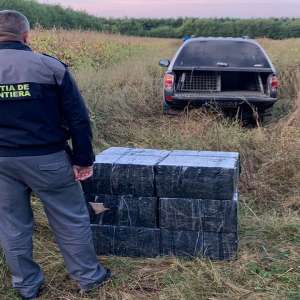 Aproximativ 26.000 pachete țigări, confiscate de polițiștii de frontieră