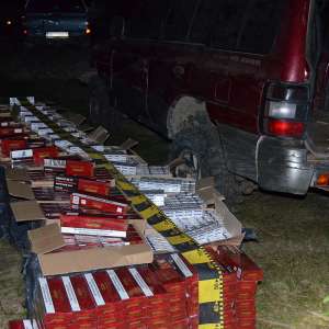 Aproximativ 26.000 pachete țigări, confiscate de polițiștii de frontieră