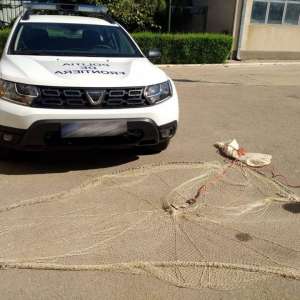 Lucrări penale pentru braconaj piscicol, întocmite de polițiștii de frontieră