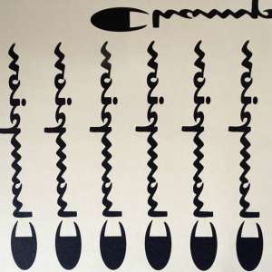 Aproximativ 10.700 de etichete, inscripţionate cu numele unor firme cunoscute, confiscate la P.T.F. Calafat