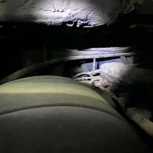 Un tânăr din Palestina, ascuns în compartimentul motorului unui autocar, depistat  la P.T.F. Giurgiu