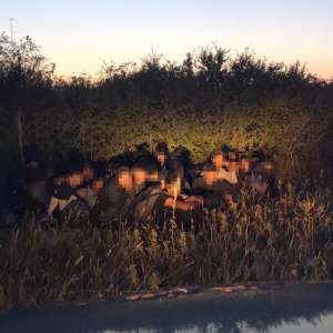 Grup de cetăţeni din Afganistan, oprit la graniţa cu Ungaria