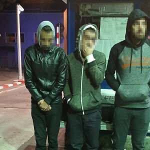 Trei sirieni depistaţi ascunşi printre paleţi de carton, la P.T.F Porţile de Fier I