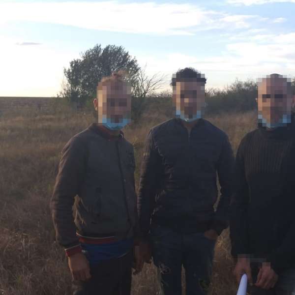 Doi marocani și un algerian depistați de polițiștii de frontieră constănțeni, într-un lan de porumb