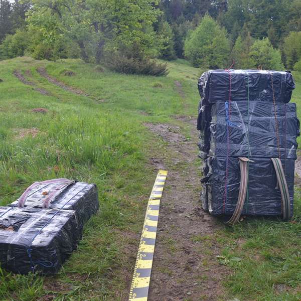 Aproximativ 7.000 pachete țigări confiscate la frontiera de nord