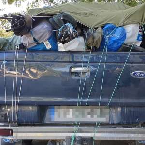 Peste 155 kilograme de  peşte transportate ilegal,   descoperite de poliţiştii de frontieră tulceni