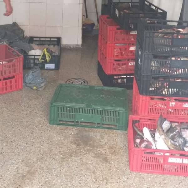 Aproximativ 130 kg peşte, confiscate de polițiștii de frontieră