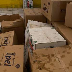 Acţiuni ale poliţiştilor de frontieră pe linia migraţiei ilegale: 54 de cetăţeni străini opriţi la graniţa de vest