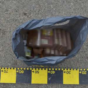 Ţigări în valoare de peste 94.000 lei, confiscate la frontiera de nord