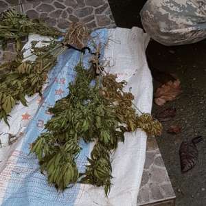 Un tânăr maramureșean arestat 30 de zile pentru trafic de droguri