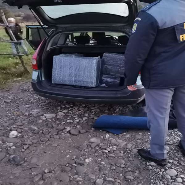 Un cetățean român cercetat pentru contrabandă și aproximativ 10.000 pachete cu țigări confiscate la frontiera de nord