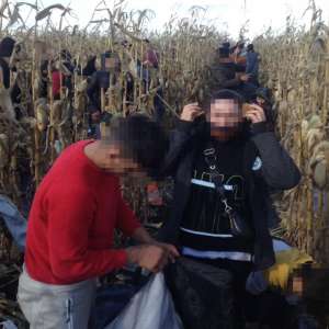 Patruzeci şi şapte de cetăţeni străini depistați de polițiștii de frontieră arădeni