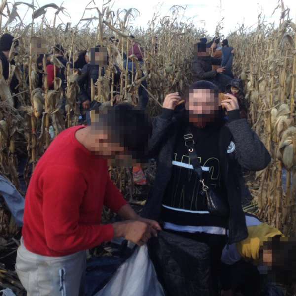 Patruzeci şi şapte de cetăţeni străini depistați de polițiștii de frontieră arădeni