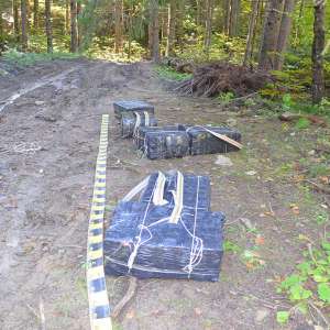 Țigări în valoare de 45.300 lei, confiscate la frontiera de nord