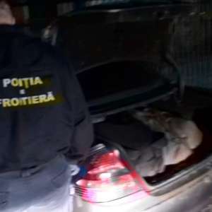 Aproximativ 250 kg de pietre semipreţioase, presupuse a fi chihlimbar, depistate la frontiera cu Ucraina