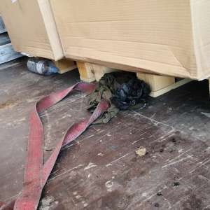 Cinci tineri afgani şi pakistanezi depistaţi ascunşi într-un automarfar  la P.T.F. Vărşand