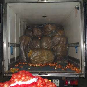 Aproximativ 1,7 tone de tutun vrac, depistate ascunse printre saci cu ceapă la PTF Giurgiu