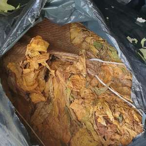 Aproximativ 9 tone de tutun vrac, descoperite ascunse printre varză şi peleţi în P.T.F. Giurgiu