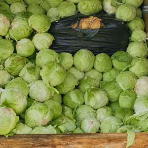 Aproximativ 9 tone de tutun vrac, descoperite ascunse printre varză şi peleţi în P.T.F. Giurgiu