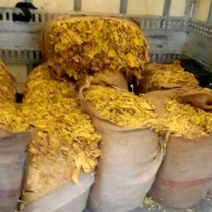 Cantitatea de 360 kg de tutun vrac, descoperită ascunsă printre saci cu peleţi la P.T.F. Ostrov