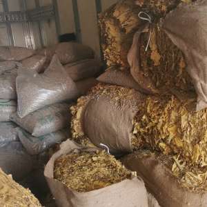 Cantitatea de 360 kg de tutun vrac, descoperită ascunsă printre saci cu peleţi la P.T.F. Ostrov