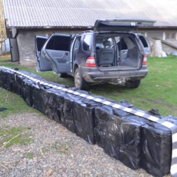 Patru cetățeni români cercetați pentru contrabandă și aproximativ 30.000 pachete cu țigări confiscate la frontiera de nord