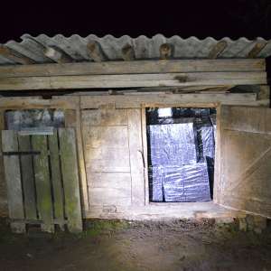 13.000 pachete țigări confiscate în urma unei percheziții în judeţul Maramureş