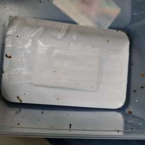 Mâncare cu aromă penală