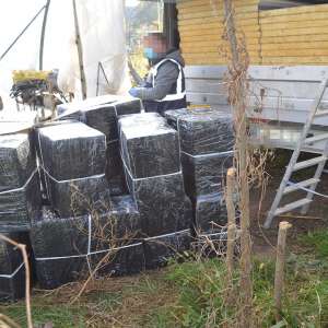 Patru maramureşeni cercetaţi şi 18.000 pachete țigări confiscate în urma unei percheziții în judeţul Maramureş