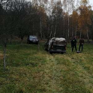 55.800 de pachete țigări, în valoare de 136.000 euro, confiscate la frontiera de nord a României