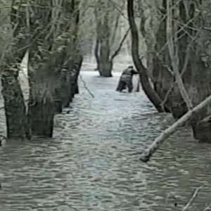 Peşte redat mediului natural