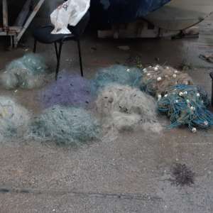 Peşte, icre negre și plase de pescuit, confiscate de polițiștii de frontieră din cadrul Gărzii de Coastă