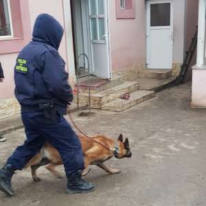 28 percheziţii domiciliare pe raza judeţului Botoşani