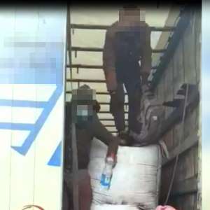 Şapte cetăţeni străini depistaţi în timp ce încercau să treacă fraudulos frontiera