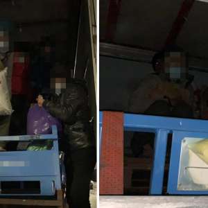 Cincisprezece cetăţeni din Afganistan, depistați ascunşi în două TIR-uri la PTF Nădlac II