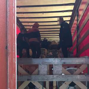 Doi şoferi turci cercetaţi pentru transportul a douăzeci de cetăţeni din Irak, Siria, Egipt şi Afganistan spre frontieră