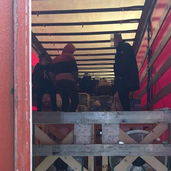 Doi şoferi turci cercetaţi pentru transportul a douăzeci de cetăţeni din Irak, Siria, Egipt şi Afganistan spre frontieră