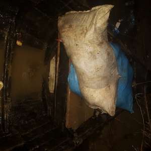 Patru bărbaţi surprinşi de poliţiştii de frontieră în timp ce pescuiau cu dispozitive electrice pe Braţul Borcea al fluviului Dunărea