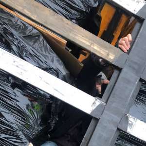 42 cetăţeni străini care intenţionau să treacă ilegal frontiera în Ungaria, depistați de poliţiştii de frontieră din judeţele Bihor și Arad