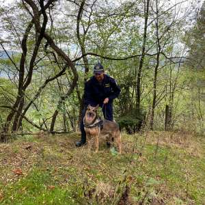 Maramureș - locul în care istoria și tradiția se împletesc cu frumosul