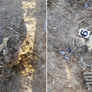 Deşeuri animale descoperite îngropate pe un teren viran în judeţul Tulcea