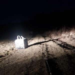 Mii de pachete cu ţigări de contrabandă descoperite de poliţiştii de frontieră