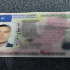 Dorea să ajungă în Lituania, utilizând un permis de conducere fals