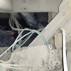 Doi sirieni depistați ascunşi pe osia unui automarfar la P.T.F. Ostrov