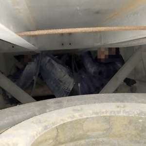 Doi sirieni depistați ascunşi pe osia unui automarfar la P.T.F. Ostrov