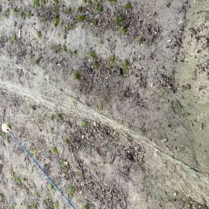 Zeci de borcane cu icre, unelte de pescuit şi motorină descoperite de poliţiştii de frontieră constănţeni